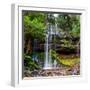 The Russell Falls, a Tiered Cascade Waterfall on the Russell Falls Creek, is Located in the Central-Yevgen Belich-Framed Photographic Print