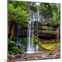 The Russell Falls, a Tiered Cascade Waterfall on the Russell Falls Creek, is Located in the Central-Yevgen Belich-Mounted Photographic Print