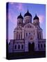 The Russian Orthodox Alexander Nevsky Cathedral in Toompea, Estonia, Baltic States-Yadid Levy-Stretched Canvas