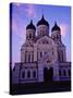 The Russian Orthodox Alexander Nevsky Cathedral in Toompea, Estonia, Baltic States-Yadid Levy-Stretched Canvas