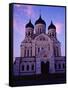 The Russian Orthodox Alexander Nevsky Cathedral in Toompea, Estonia, Baltic States-Yadid Levy-Framed Stretched Canvas