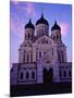 The Russian Orthodox Alexander Nevsky Cathedral in Toompea, Estonia, Baltic States-Yadid Levy-Mounted Photographic Print