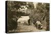 The Rustic Bridge, Boscombe Gardens, Bournemouth, Dorset, C1900-C1919-null-Stretched Canvas