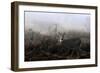 The Rut In On White-Tailed Deer-Jim Cumming-Framed Giclee Print