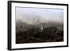 The Rut in on - White-Tailed Deer-Jim Cumming-Framed Photographic Print