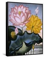 The Sacred Egyptian Bean (Lotus)-null-Framed Stretched Canvas