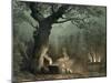 The Sacred Grove of the Druids, from the Opera "Norma" by Vincenzo Bellini (1802-35)-null-Mounted Giclee Print