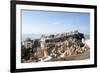 The Sacred Jain Marble Temples, Place of Jain Pilgrimage, Built at the Top of Shatrunjaya Hill-Annie Owen-Framed Photographic Print