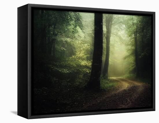 The Sacred Path-Philippe Manguin-Framed Stretched Canvas