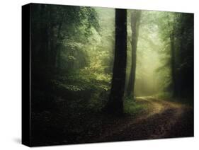 The Sacred Path-Philippe Manguin-Stretched Canvas