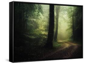 The Sacred Path-Philippe Manguin-Framed Stretched Canvas