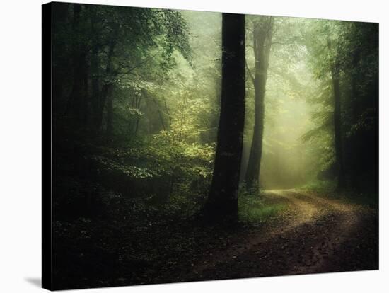 The Sacred Path-Philippe Manguin-Stretched Canvas