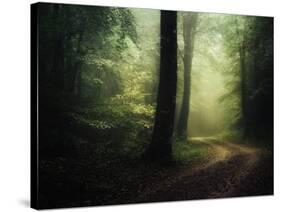 The Sacred Path-Philippe Manguin-Stretched Canvas