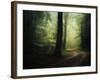 The Sacred Path-Philippe Manguin-Framed Premium Photographic Print