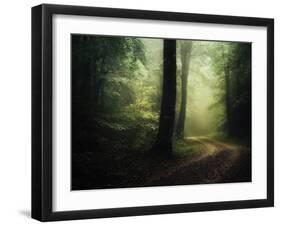 The Sacred Path-Philippe Manguin-Framed Photographic Print