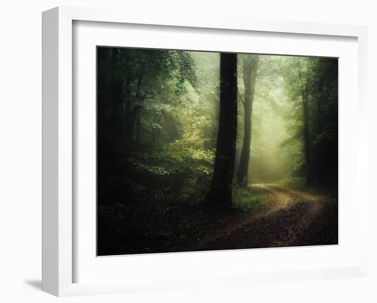 The Sacred Path-Philippe Manguin-Framed Photographic Print