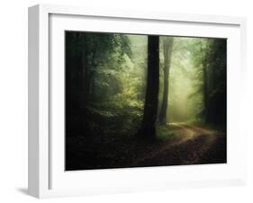 The Sacred Path-Philippe Manguin-Framed Photographic Print