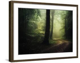 The Sacred Path-Philippe Manguin-Framed Photographic Print