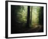 The Sacred Path-Philippe Manguin-Framed Photographic Print