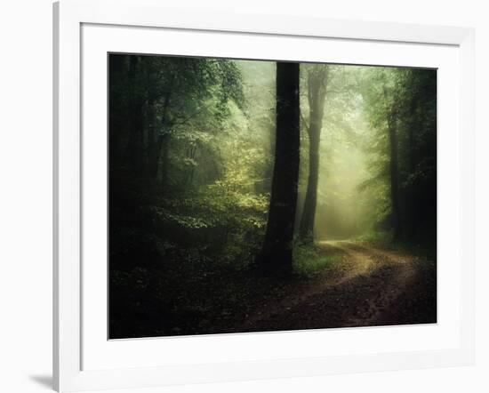 The Sacred Path-Philippe Manguin-Framed Photographic Print