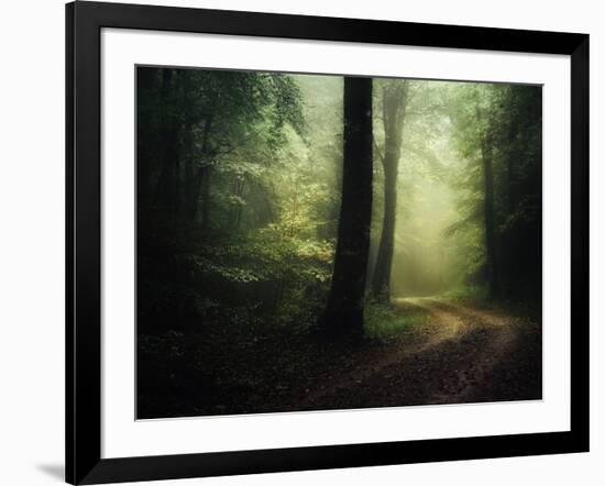 The Sacred Path-Philippe Manguin-Framed Photographic Print