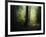 The Sacred Path-Philippe Manguin-Framed Photographic Print