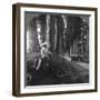 The Sacred Road to Nikko, Japan, 1905-BL Singley-Framed Photographic Print