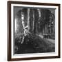 The Sacred Road to Nikko, Japan, 1905-BL Singley-Framed Photographic Print