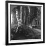 The Sacred Road to Nikko, Japan, 1905-BL Singley-Framed Photographic Print