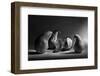 The Sad Farewell- the 3Rd Part of the Jam Triptych-Victoria Ivanova-Framed Photographic Print