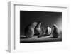 The Sad Farewell- the 3Rd Part of the Jam Triptych-Victoria Ivanova-Framed Photographic Print