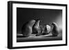 The Sad Farewell- the 3Rd Part of the Jam Triptych-Victoria Ivanova-Framed Premium Photographic Print