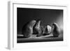 The Sad Farewell- the 3Rd Part of the Jam Triptych-Victoria Ivanova-Framed Photographic Print