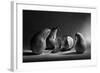 The Sad Farewell- the 3Rd Part of the Jam Triptych-Victoria Ivanova-Framed Photographic Print