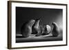 The Sad Farewell- the 3Rd Part of the Jam Triptych-Victoria Ivanova-Framed Photographic Print