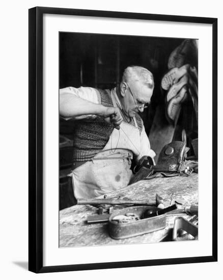 The Saddler-null-Framed Photographic Print