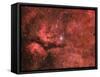The Sadr Region in the Constellation Cygnus-null-Framed Stretched Canvas