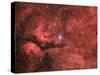 The Sadr Region in the Constellation Cygnus-null-Stretched Canvas