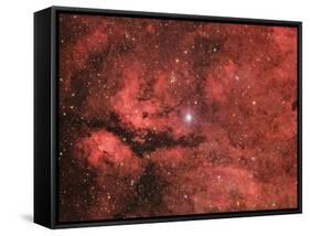 The Sadr Region in the Constellation Cygnus-null-Framed Stretched Canvas