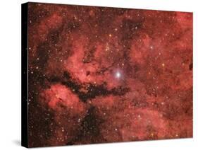 The Sadr Region in the Constellation Cygnus-null-Stretched Canvas