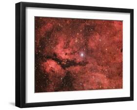 The Sadr Region in the Constellation Cygnus-null-Framed Photographic Print