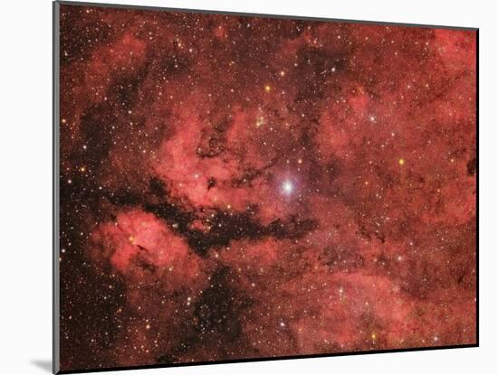 The Sadr Region in the Constellation Cygnus-null-Mounted Photographic Print