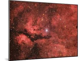 The Sadr Region in the Constellation Cygnus-null-Mounted Photographic Print