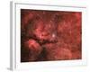 The Sadr Region in the Constellation Cygnus-null-Framed Photographic Print