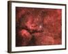 The Sadr Region in the Constellation Cygnus-null-Framed Photographic Print