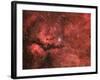 The Sadr Region in the Constellation Cygnus-null-Framed Photographic Print