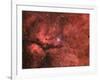 The Sadr Region in the Constellation Cygnus-null-Framed Photographic Print