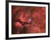 The Sadr Region in the Constellation Cygnus-null-Framed Photographic Print