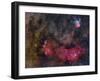 The Sagittarius Triplet Featuring the Lagoon and Trifid Nebula, and Ngc 6559-null-Framed Photographic Print