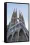 The Sagrada Familia, UNESCO World Heritage Site, Barcelona, Catalonia, Spain, Europe-Angelo Cavalli-Framed Stretched Canvas